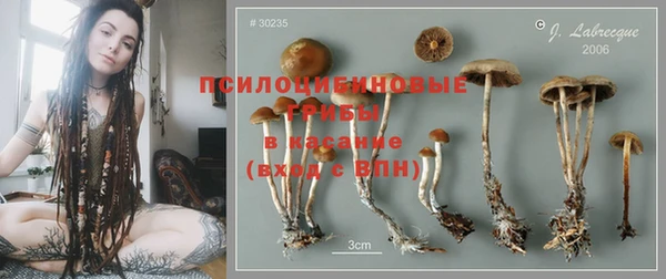 дживик Алексин