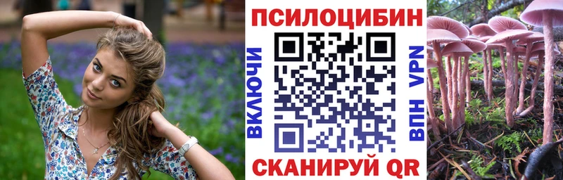 наркота  Ейск  Галлюциногенные грибы мицелий 